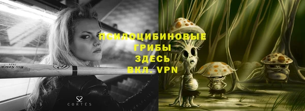 не бодяженный Мегион