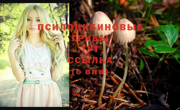 не бодяженный Мегион